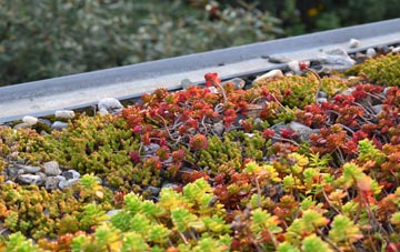 the cost of Grove End green roof installation