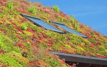 Grove End living roof systems