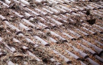 Grove End roof cleaning companies