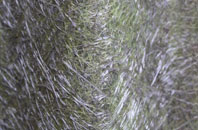 Grove End fibreglass roof work